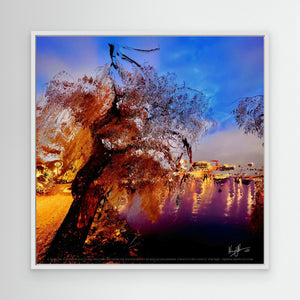 Reflections of Serenity