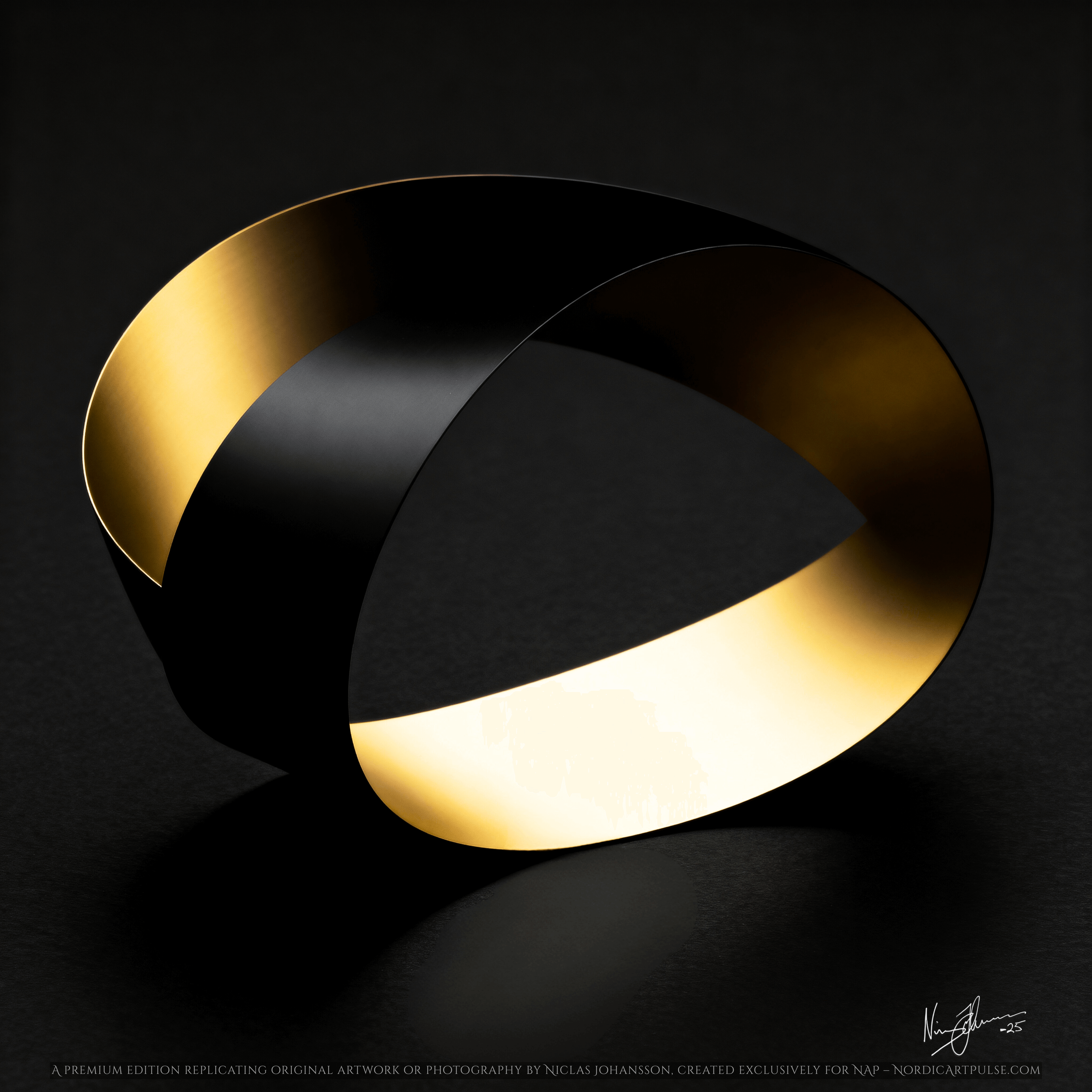 Double Loop -a visual exploration of infinity