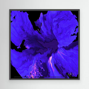Blue Hibiscus Bloom in Abstract
Abstract blue hibiscus flower with tropical petals in an artistic composition