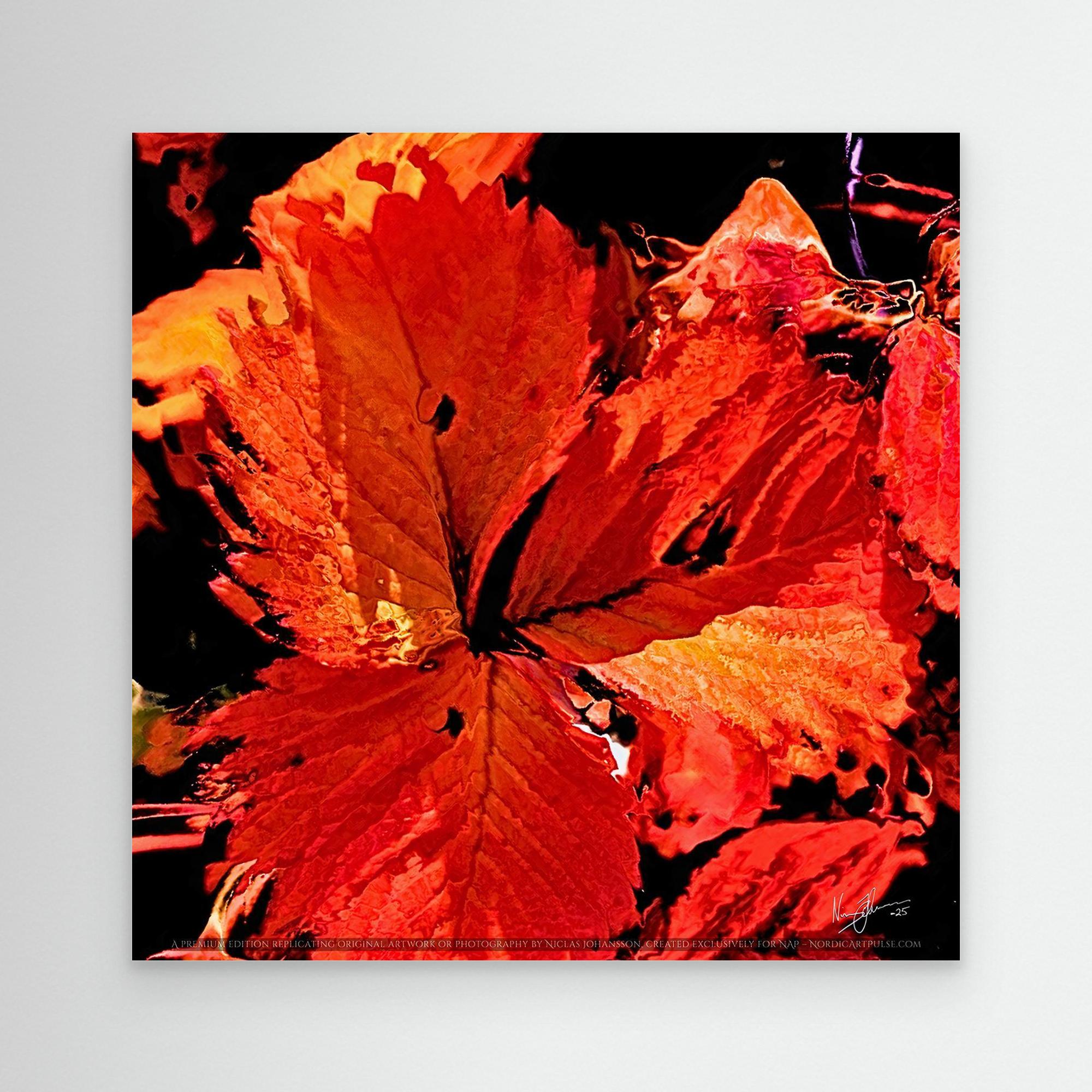 Autumn's Embrace - A close-up of a vibrant red leaf with intricate vein details, set against a dark background, showcasing autumn colors.
Art Print from Nordic Art Pulse