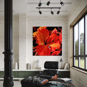 Autumn's Embrace, Modern interior with a vibrant abstract painting of a red flower on a white wall.
Art Print from Nordic Art Pulse