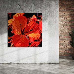 Autumn's Embrace, an Abstract painting of a red flower on a textured wall with a brick wall background.
Art Print from Nordic Art Pulse