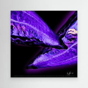 Prism Fusion Reflections