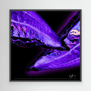 Prism Fusion Reflections