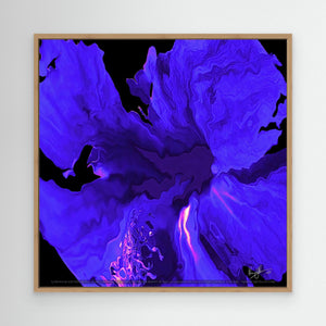 Blue Hibiscus Bloom in Abstract
