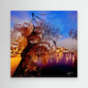 Reflections of Serenity