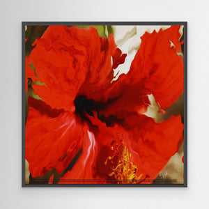 Hibiscus Bloom in Abstract