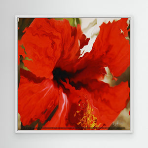 Hibiscus Bloom in Abstract