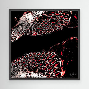 Red Bubbles in the Abyss