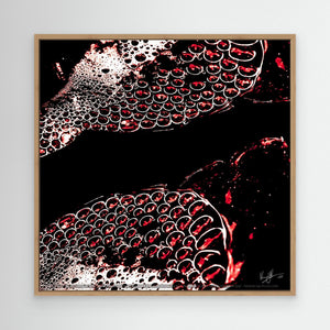 Red Bubbles in the Abyss