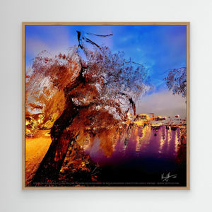 Reflections of Serenity