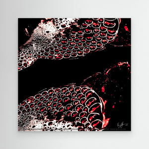 Red Bubbles in the Abyss